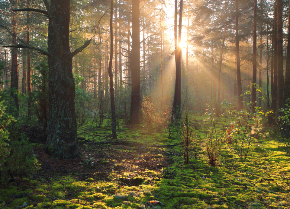 Image principale de l'article 